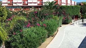 A building with a red and white facade, surrounded by lush greenery and pink flowers. - Residence Felix (Ricadi)