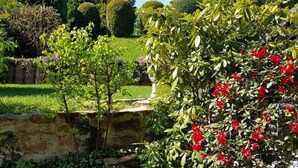 A well-maintained garden with various shrubs and a stone wall. - Holiday Home Country House Kathy (Michelstadt)