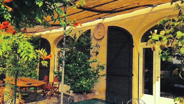 Una veranda esterna con tavolo e sedie, circondata da piante in vaso e un pergolato in legno.
