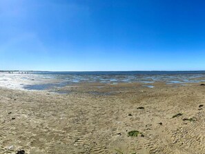 Ein sandiger Strand mit deutlichen Fußabdrücken und Seetang, der bis zu einem weit entfernten Steg unter blauem Himmel reicht.