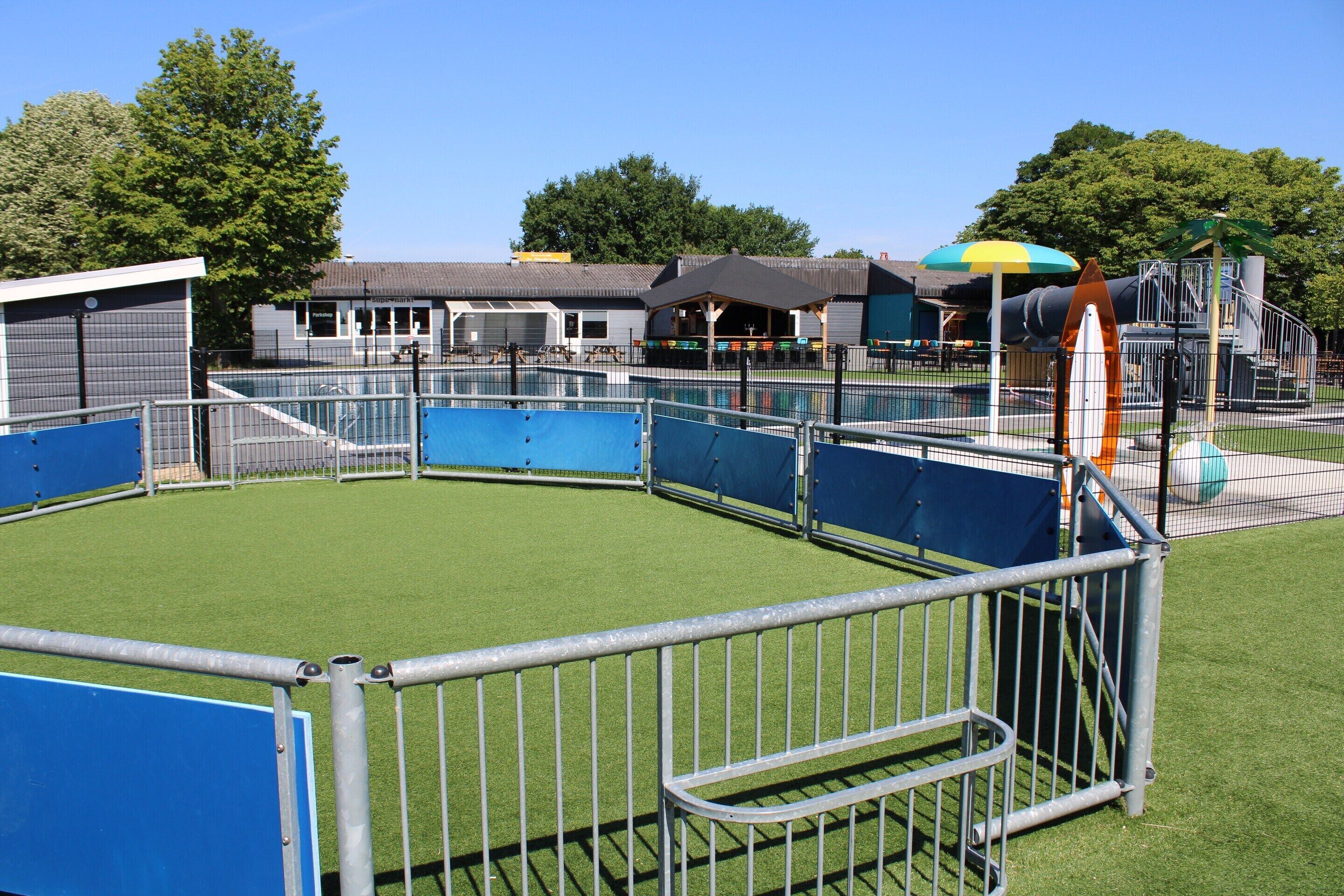A fenced outdoor area with artificial grass, a pool, and a playground structure.