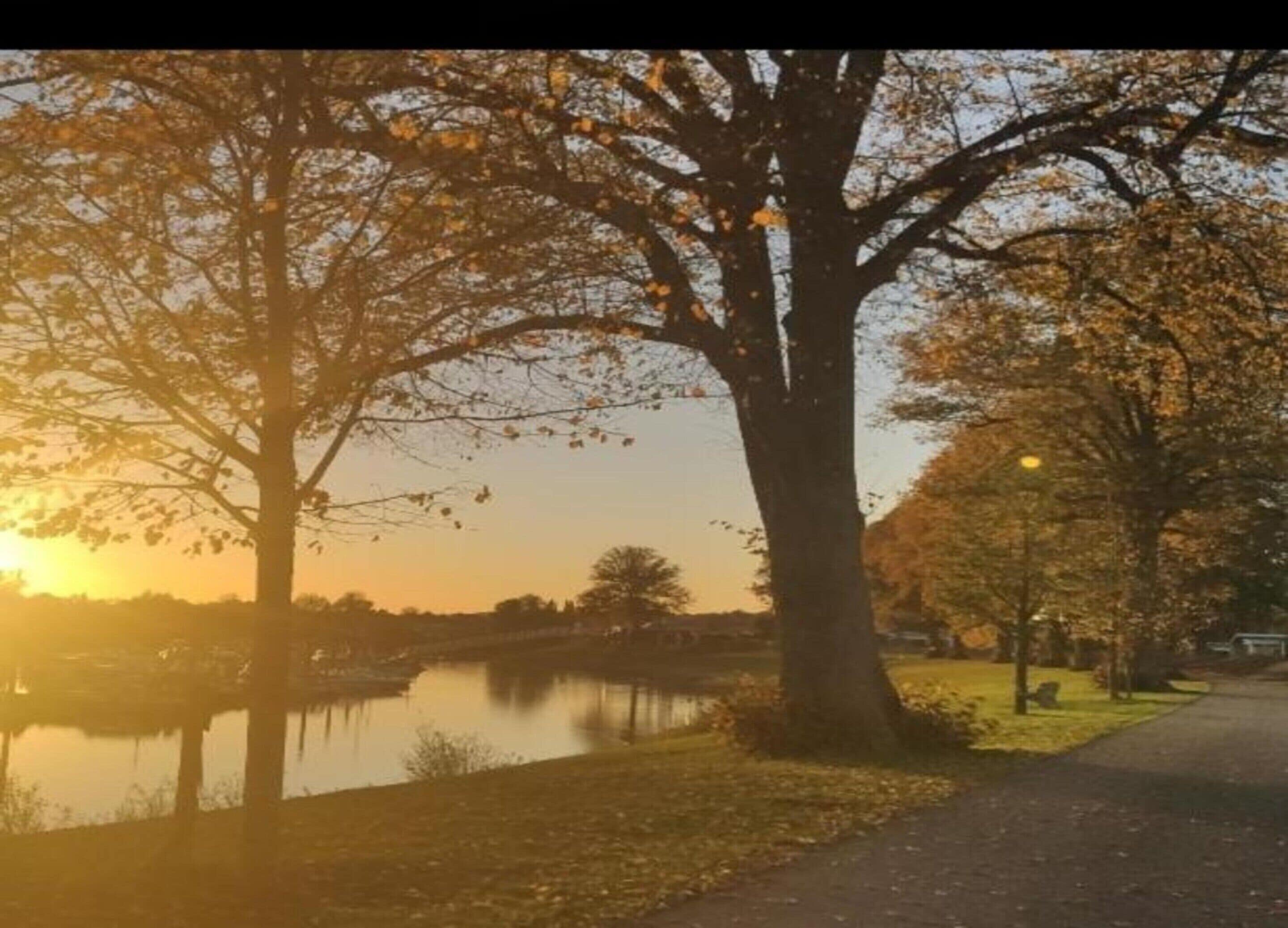 Un parc avec un lac, des arbres et un sentier.