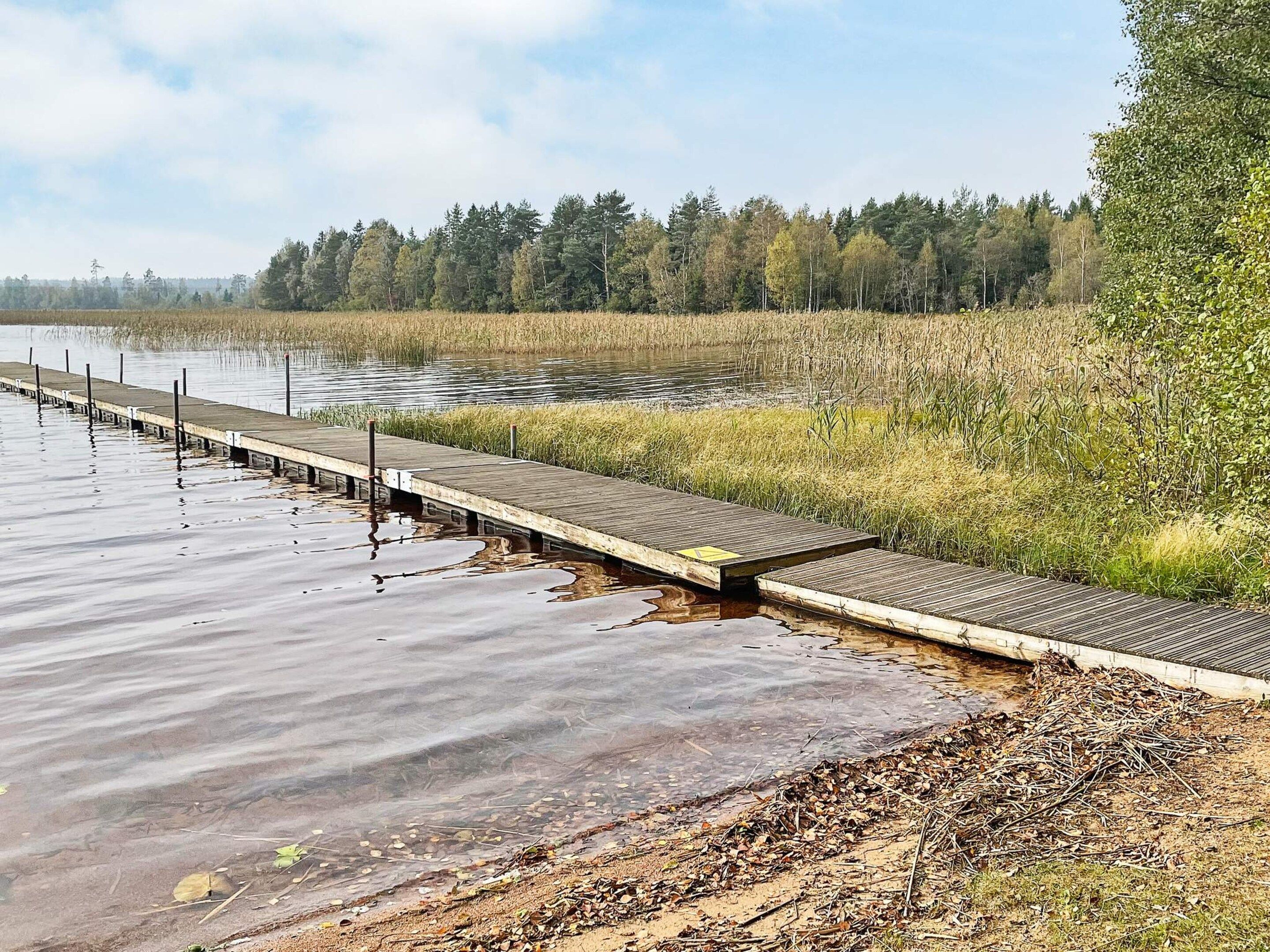 Puinen laituri, joka ulottuu vesistöön, ja taustalla näkyy metsä.
