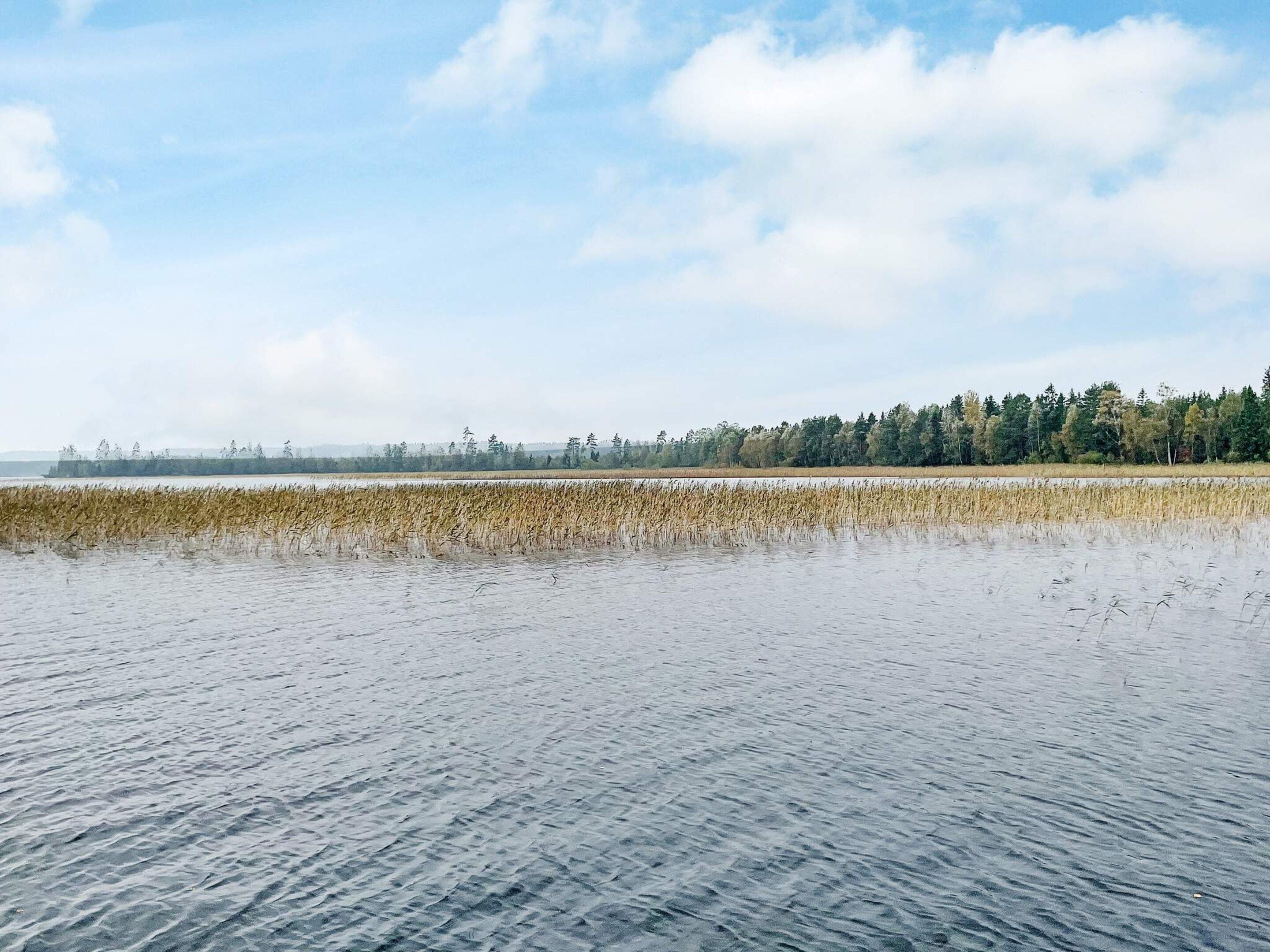 A calm water body with a distant tree line under a clear sky.