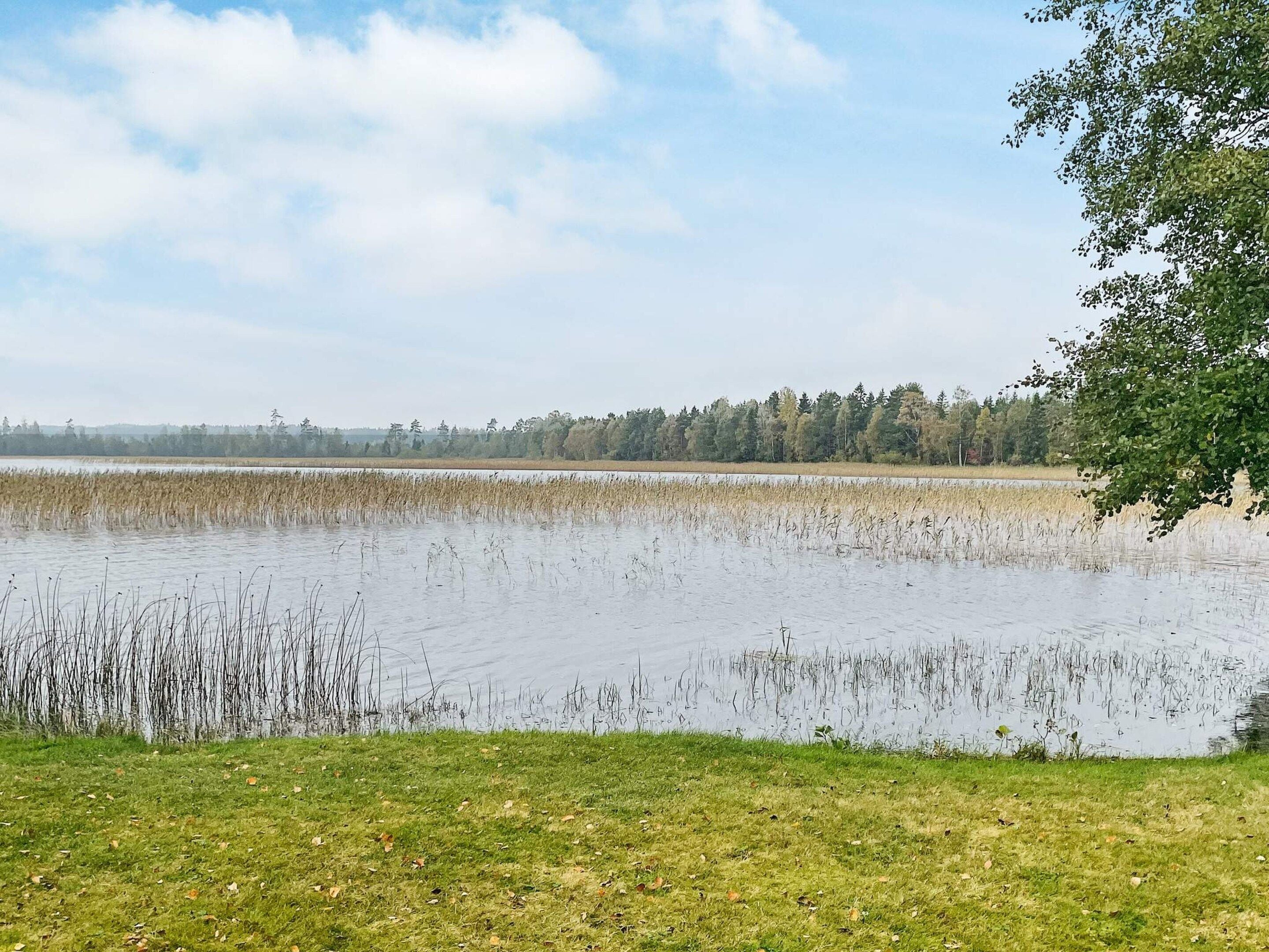 A calm lake with a grassy foreground and a forested background.