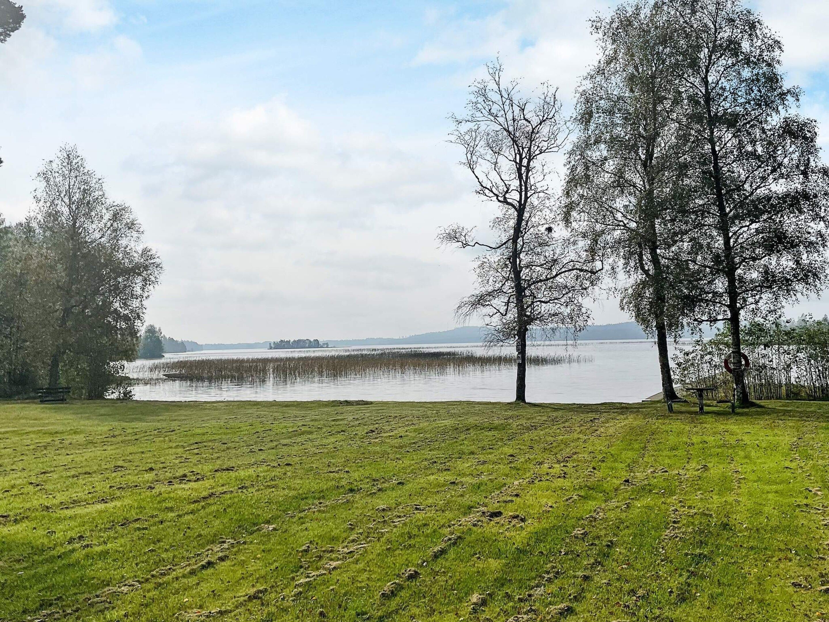 Un campo cubierto de hierba con árboles y una masa de agua.