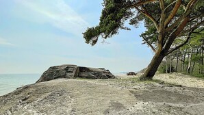 Rumah | Pantai