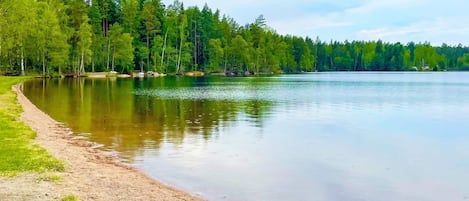 A calm lake with a sandy shore and dense trees in the background.
