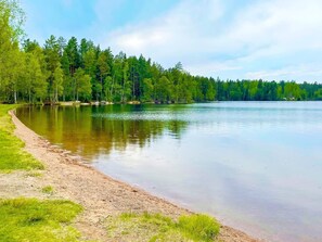 Ein ruhiger See mit sandigem Ufer und dichtem Wald im Hintergrund.