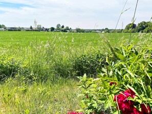 Hus | Eksteriør