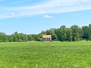 Exterior - 8 Person Holiday Home in Hogsby (Högsby)