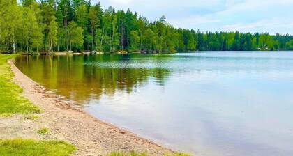 8 Person Holiday Home in Hogsby