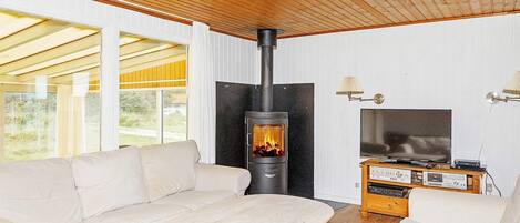 A modern living room with a wood-burning stove, a sofa, a coffee table, and a television.