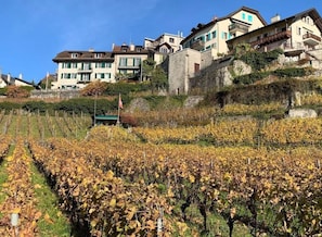 Aussenbereich