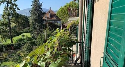 La Vigneronne, Uitzicht op het Meer