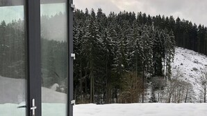 A snowy landscape with a dense forest and a snow-covered hill. - Modern Holiday Home With sun Shower (Winterberg)