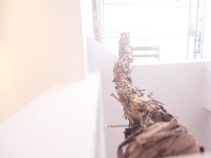 Apartment | Exterior - Studio Toniko With Terrace (Split)