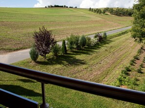 Property grounds - Holiday Apartment Thoma (Königheim)