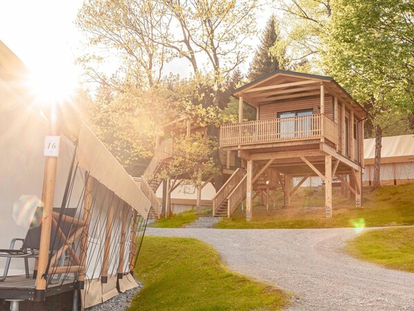 A wooden cabin with a balcony, surrounded by trees and a gravel path.