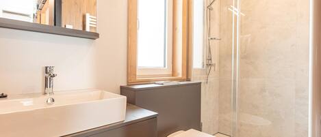 A modern bathroom with a large sink, a toilet, and a glass-enclosed shower.