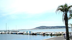 A marina with boats docked, a palm tree, and a distant hill. - Nice Holiday Home With Garden Near Beach (Wemeldinge)