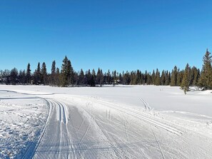 House | Snow and ski sports
