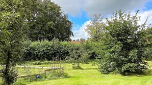 Un jardin luxuriant, avec différents types d’arbres et une pelouse verdoyante.