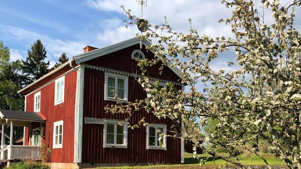 Une maison en bois rouge à deux étages, avec un mur de pierre à l’avant, un porche et un arbre aux fleurs blanches.