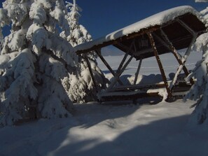 Deportes de invierno y ski