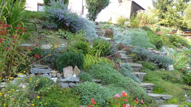 A garden with various plants and flowers, stone pathways, and a wooden structure in the background. - Holiday Apartment Family Kreissl (Oberwiesenthal)