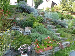 A garden with various plants and flowers, stone pathways, and a wooden structure in the background. - Holiday Apartment Family Kreissl (Oberwiesenthal)