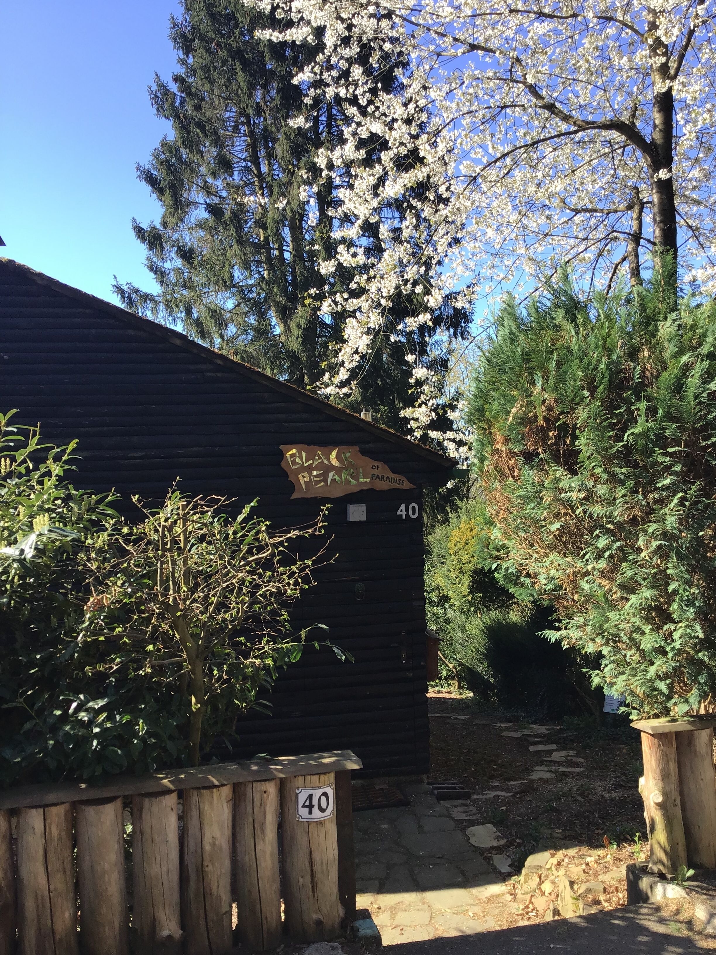 A rustic cabin labeled "ELAK OF PARADISE" with a number "40" on its door, surrounded by dense trees and a clear sky.