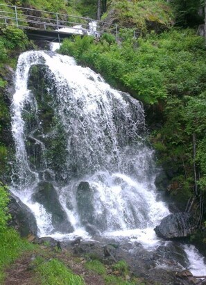 A waterfall cascading over rocks surrounded by lush greenery.