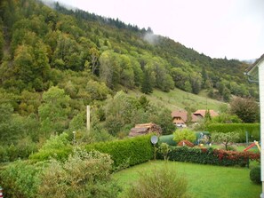 Property grounds - Haus Hiller Comfortable Holiday Residence (Todtnau)