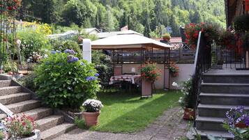 Khuôn viên nơi lưu trú