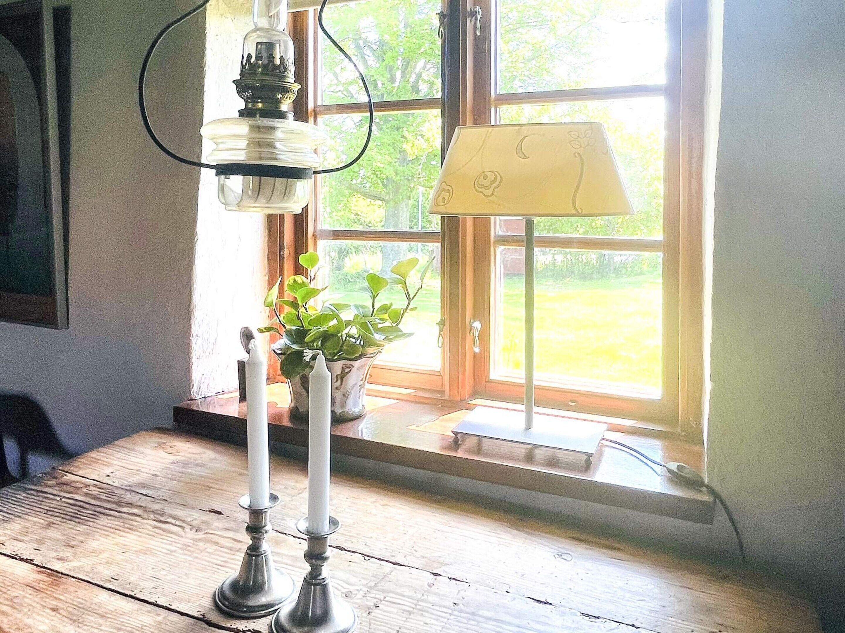 A room with a wooden table, a potted plant, a lamp, and a window with a view of greenery.