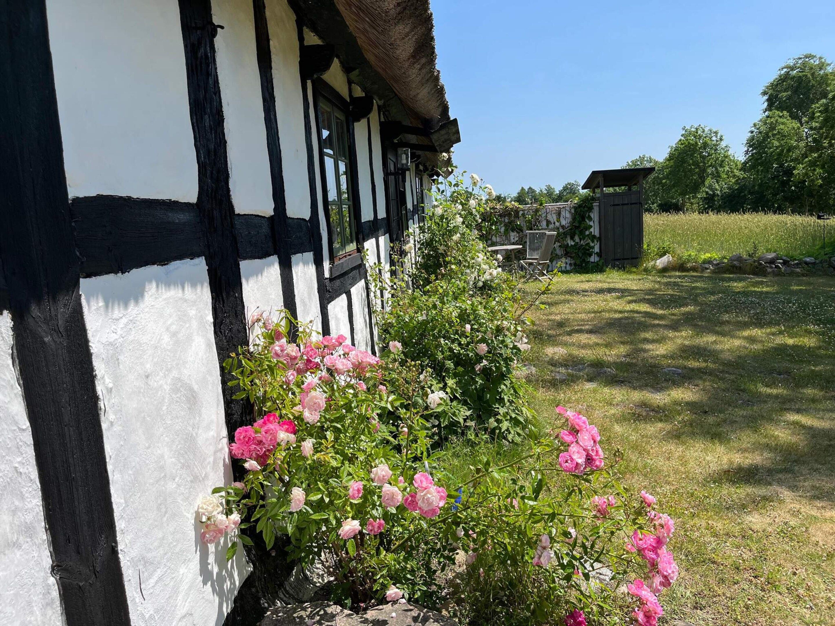 A half-timbered building with a garden featuring pink roses.