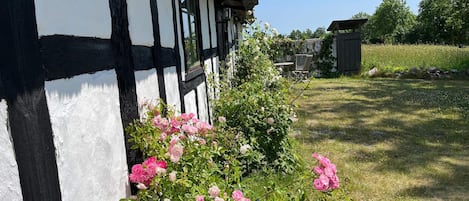 A half-timbered building with a garden featuring pink roses.
