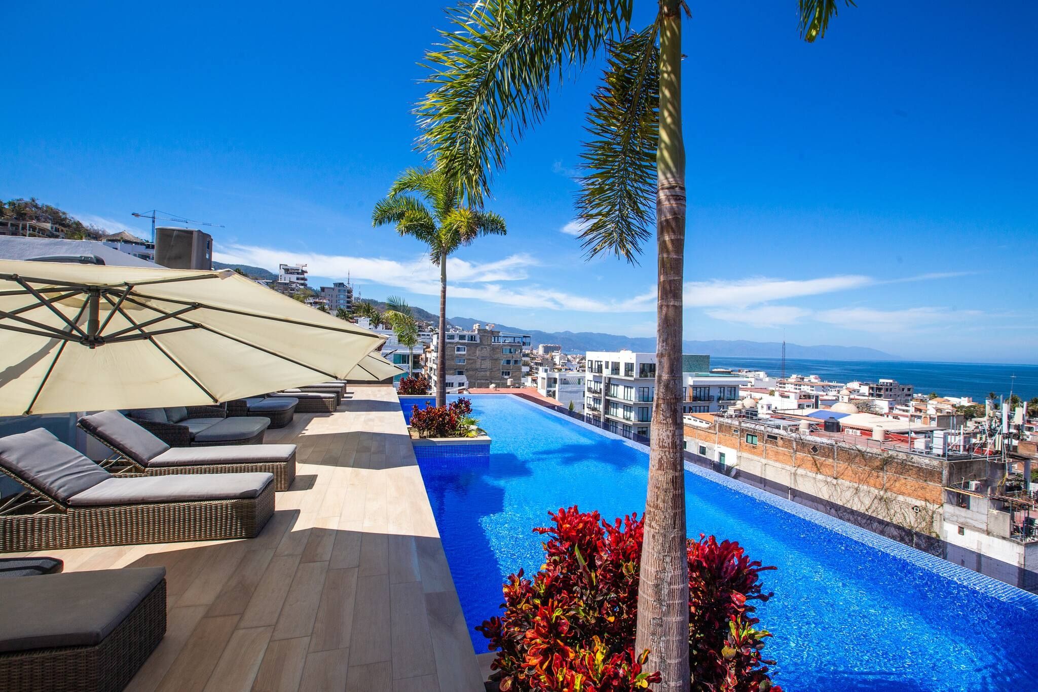 A rooftop pool with lounge chairs and umbrellas, surrounded by palm trees and a view of the sea and buildings.