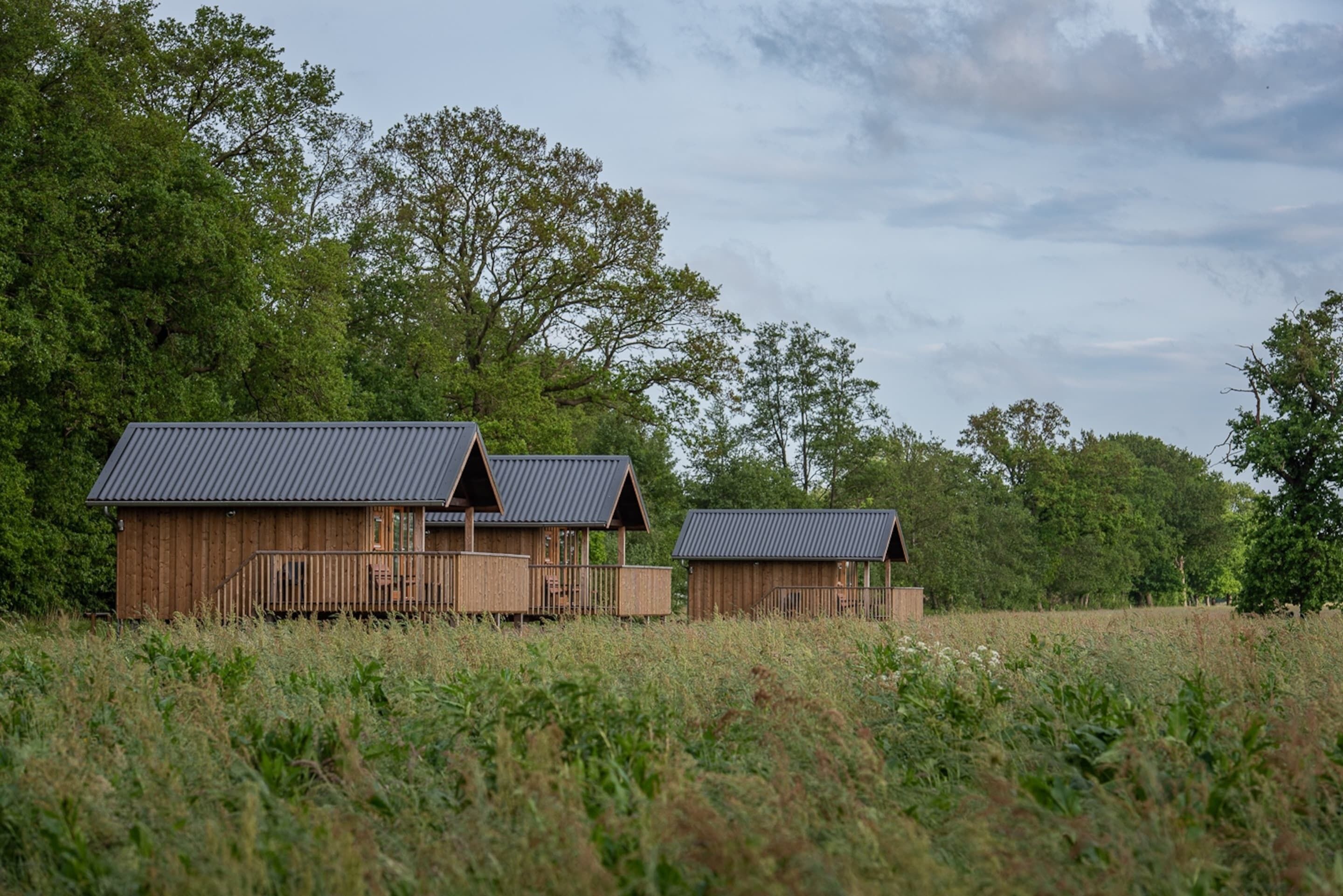 Three wooden cabins with metal roofs in a grassy field, surrounded by trees.