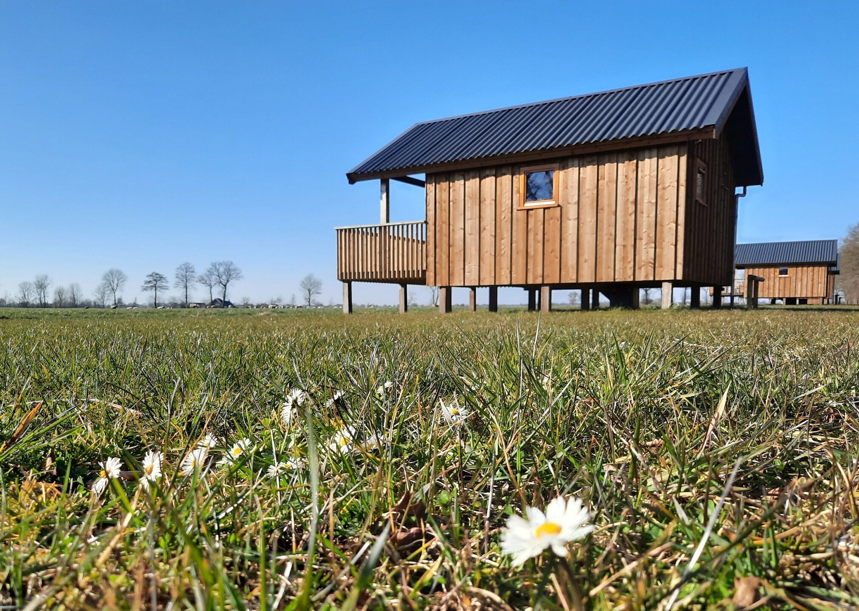 Maison | Enceinte de l’hébergement