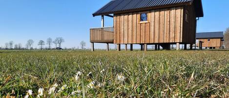 A wooden cabin with a balcony, situated in a grassy field with daisies.