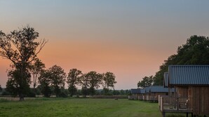 A rural setting with a grassy field, a large tree, and wooden cabins with metal roofs.
