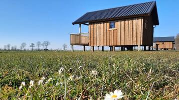 House | Property grounds