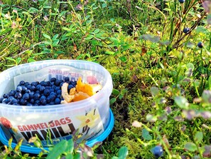 A container filled with blueberries and other fruits on a grassy surface. - 5 Person Holiday Home in Gamleby (Gamleby)