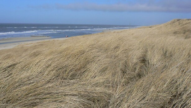 A beach with dunes and the ocean in the background. - Long Comfortable Holiday Residence (Süderlügum)