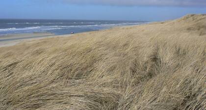 Long Comfortable Holiday Residence