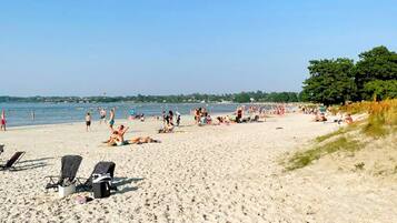 A beach with sun loungers and umbrellas, a clear sky, and a calm sea.