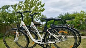 Dues bicicletes aparcades a la gespa, amb una tanca de fusta i arbres al fons.
