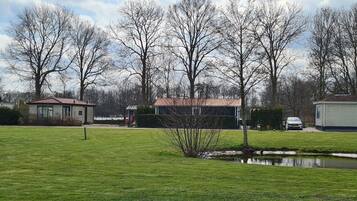 House | Property grounds